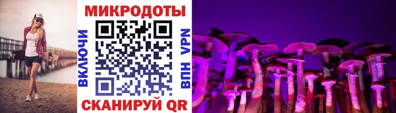 Галлюциногенные грибы Psilocybe  Мариинский Посад 